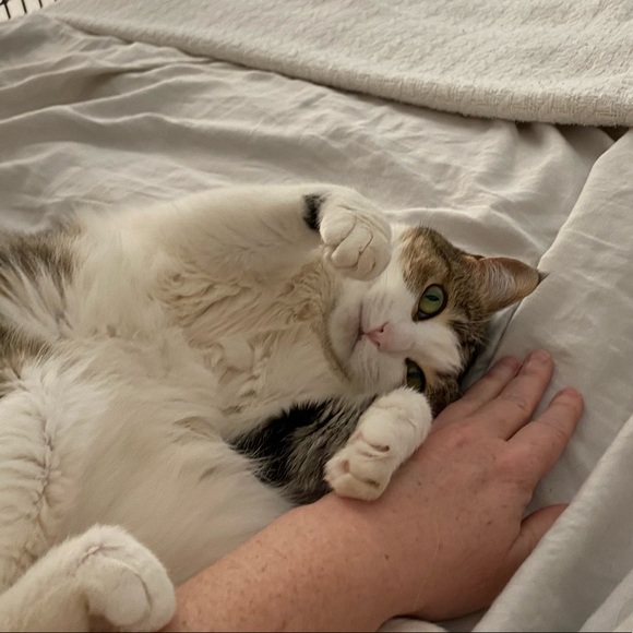 Howdy!! - Picture 4 of 4